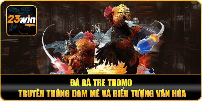 Đá gà tre thomo