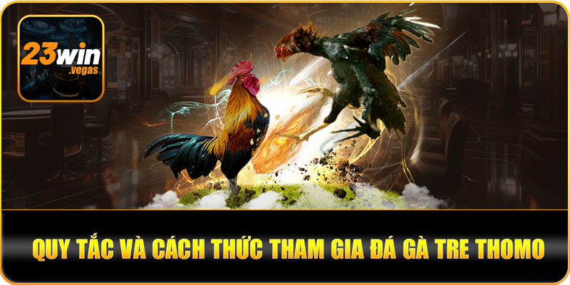 Quy tắc và cách thức tham gia đá gà tre thomo